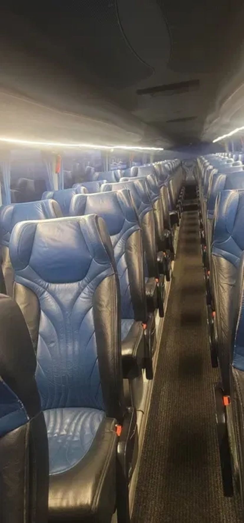 Пасажирські перевезення по Україні та за кордон у будь-які напрямки..