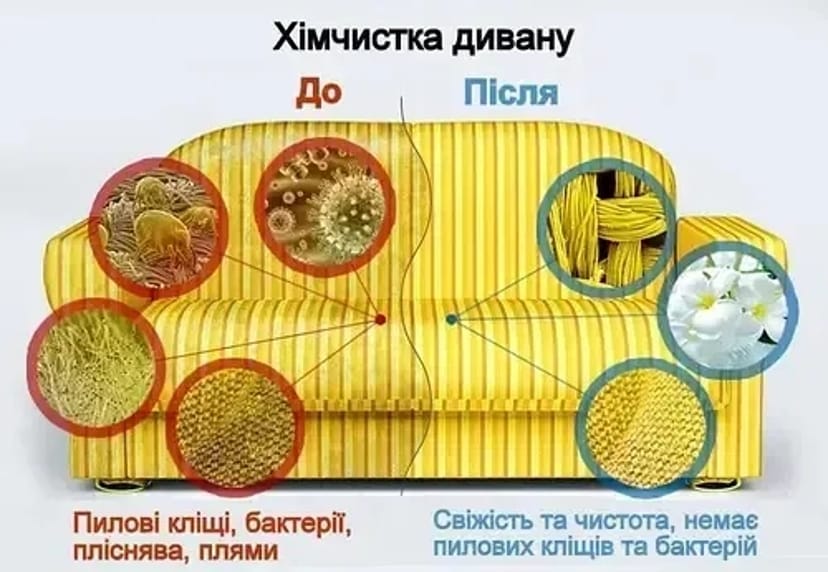 Хімчистка диванів Хімчистка мяких меблі Борислав Дрогобич Трускавець