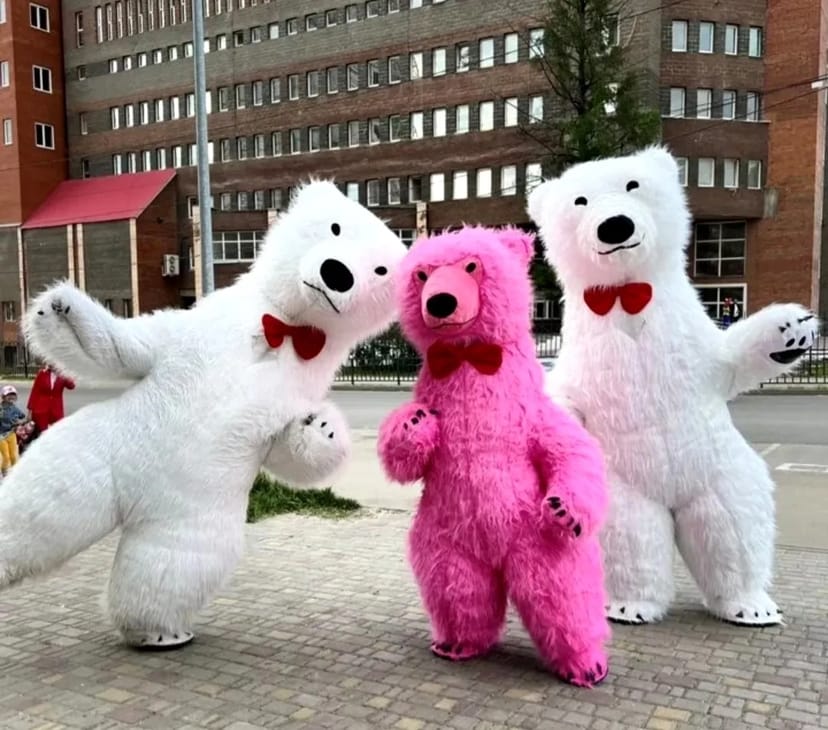 Білий ведмідь Кропивницький ростова лялька стриптиз аніматор панда .