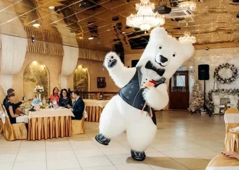 Білий ведмідь Кропивницький ростова лялька стриптиз аніматор панда .