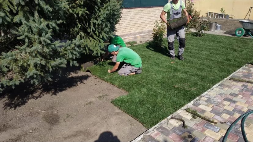 Садівник, Газон, обрізка топіар, ниваки, стрижка туй, ялівець