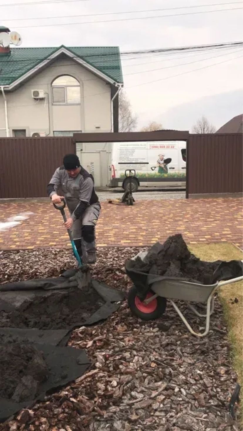 Садівник, Газон, обрізка топіар, ниваки, стрижка туй, ялівець