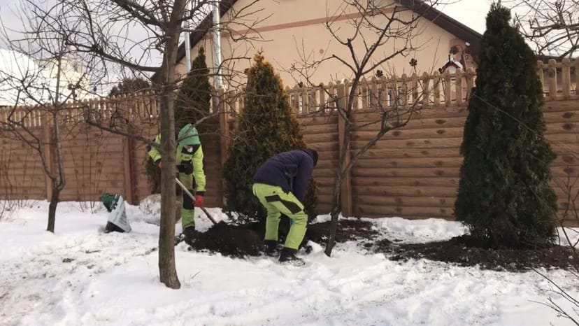 Садівник, Газон, обрізка топіар, ниваки, стрижка туй, ялівець