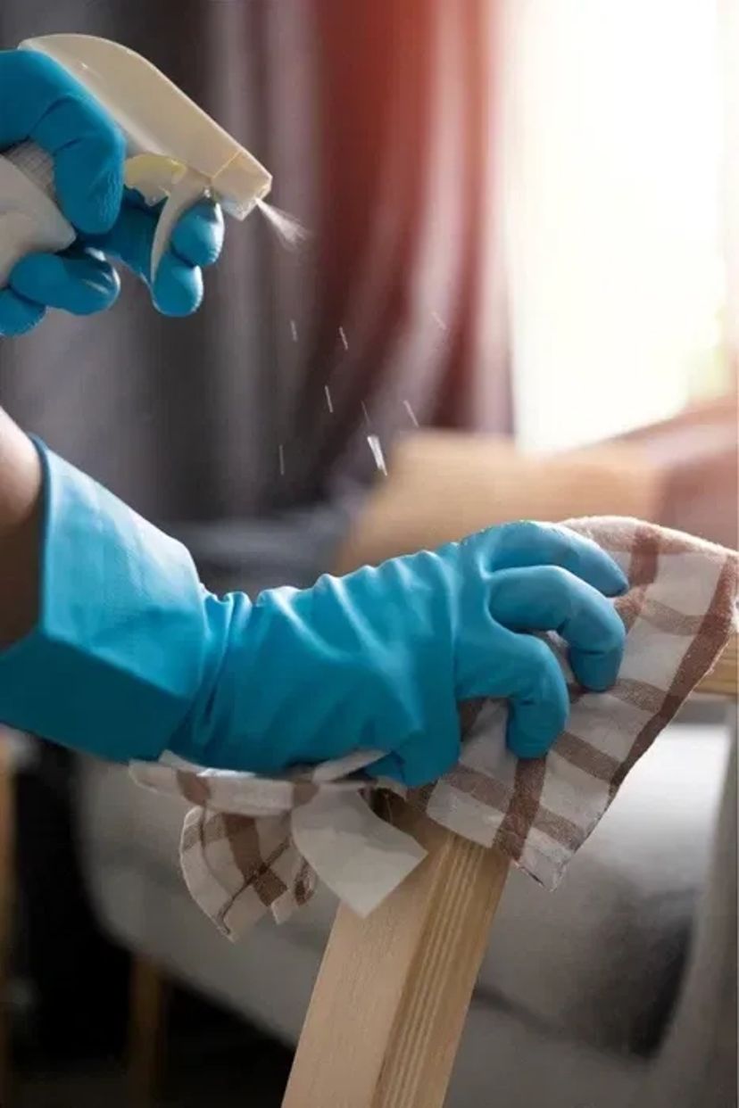 Клінінгові послуги, Професійне прибирання