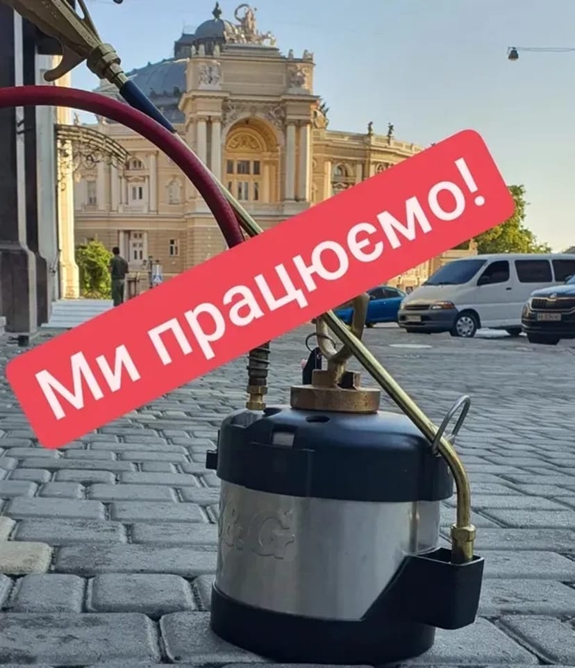 Знищення комах таргани блохи клопи в Одесі безпечно