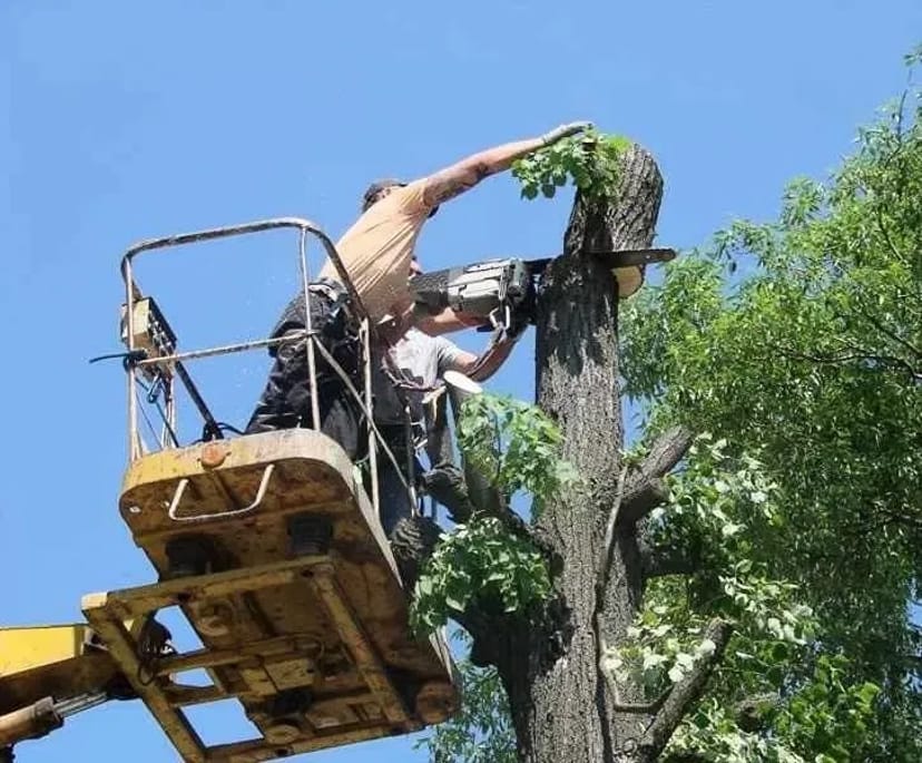 Послуги автовишки, послуги автокрана
