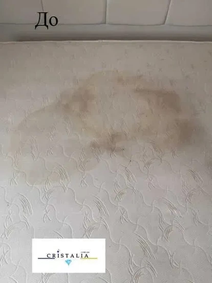 Хімчистка диванів, матраців, стільців, меблів — повернемо свіжість і чистоту