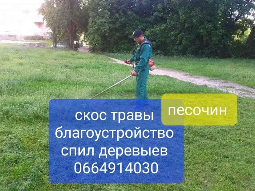 Спил обрезка кронирования деревыев спуск по частям