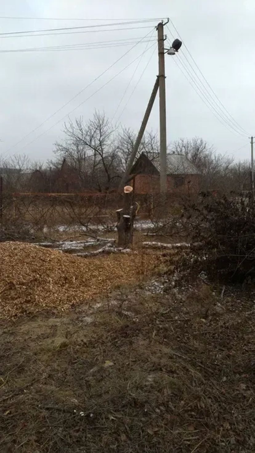 Дробление 800, измельчение веток (900 грн/час)