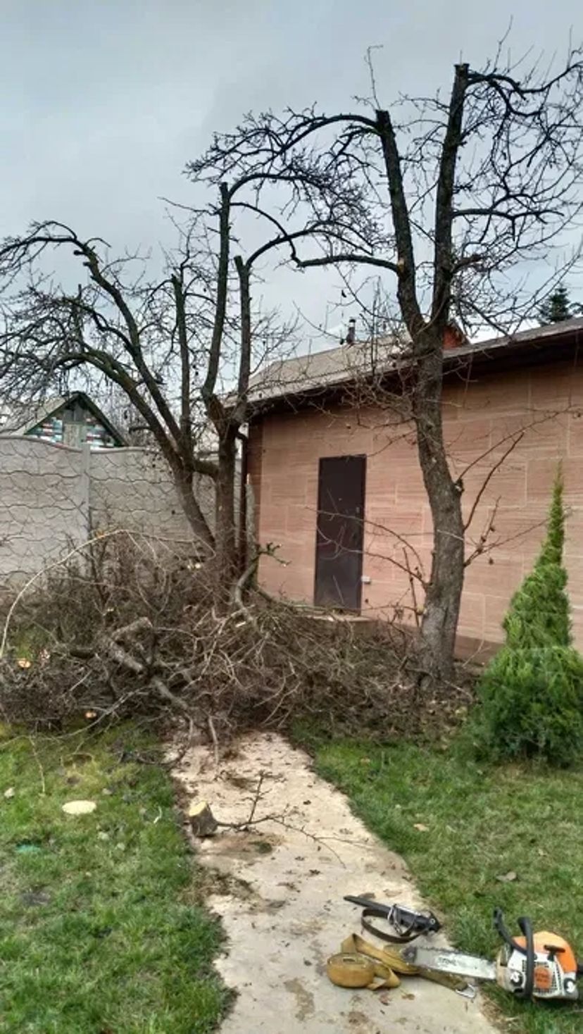 Дробление 800, измельчение веток (900 грн/час)