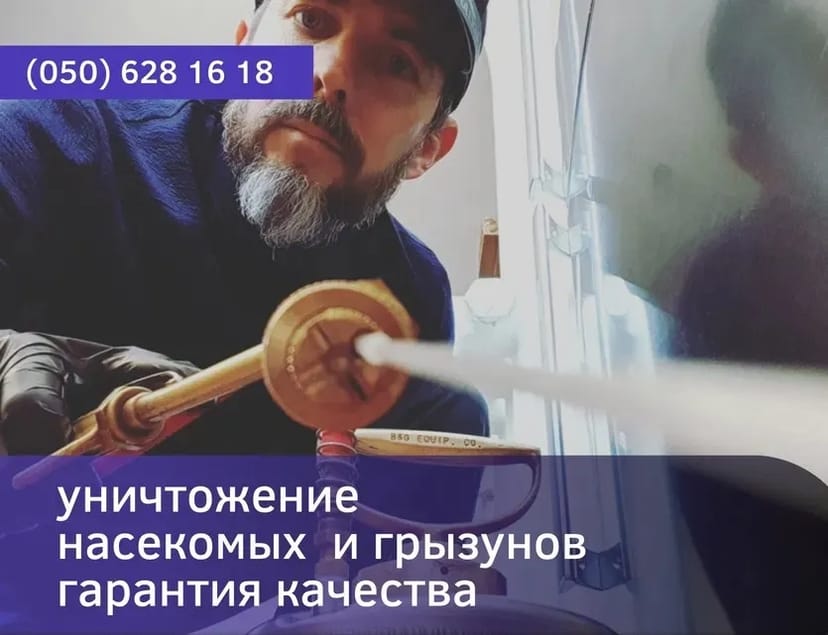 Знищення тарганів, клопів, комах в Одесі є безпечним.