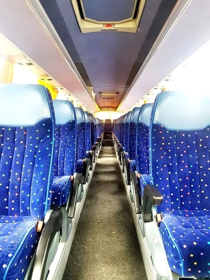 373 Автобус на весілля Temsa 57 місць замовити