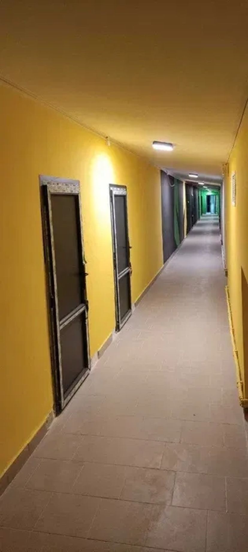 Шпаклівка, Малярні роботи, Фарбування