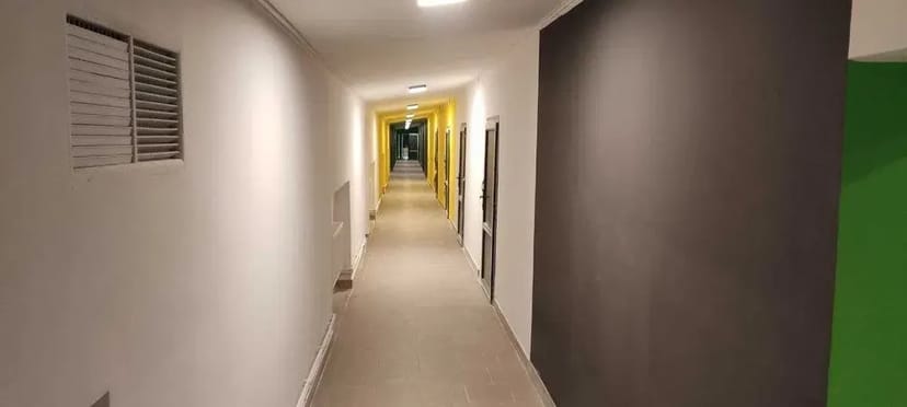 Шпаклівка, Малярні роботи, Фарбування