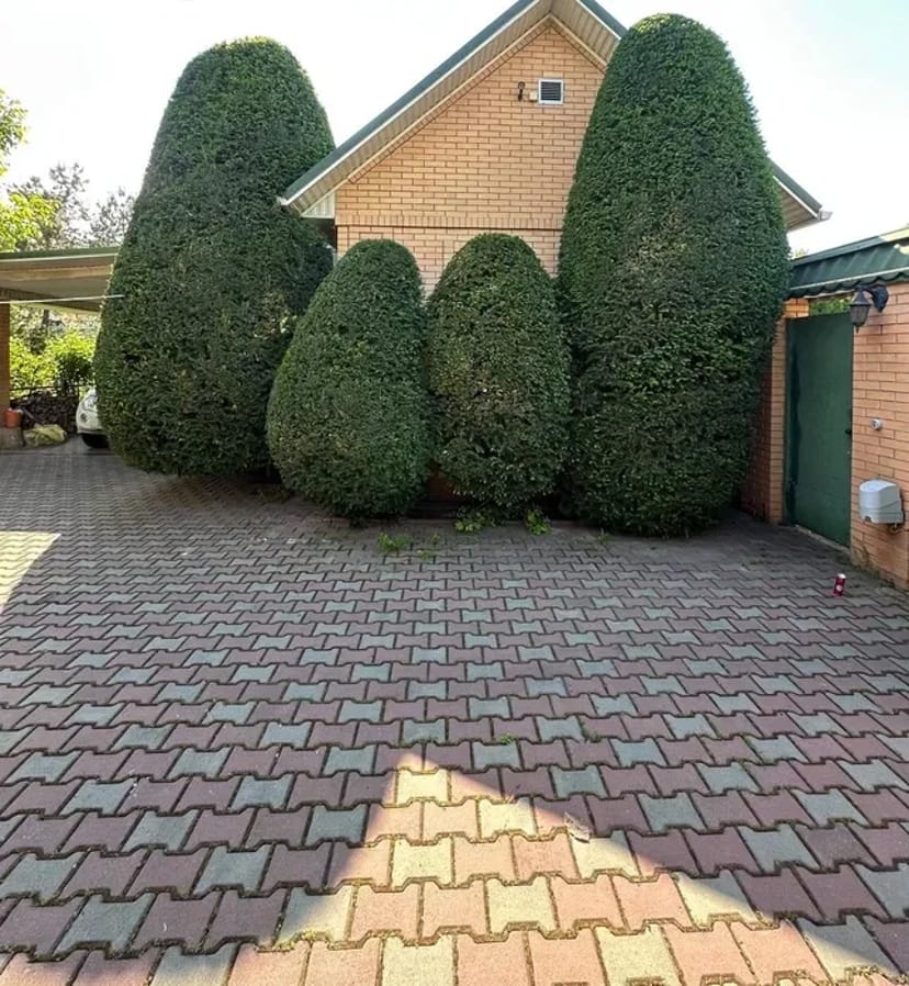 Стрижка дерев, прибирання ділянки.