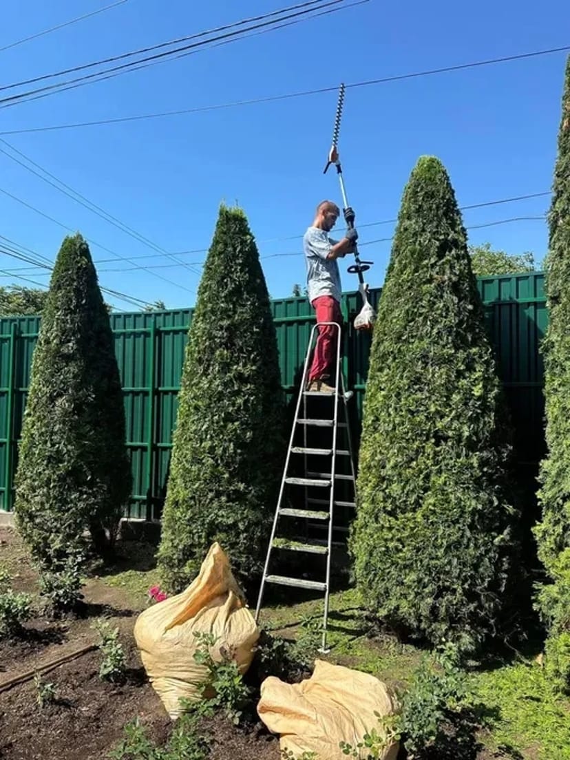 Стрижка дерев, прибирання ділянки.