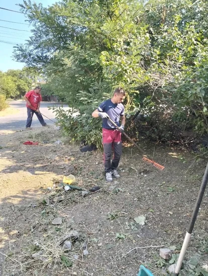Стрижка дерев, прибирання ділянки.