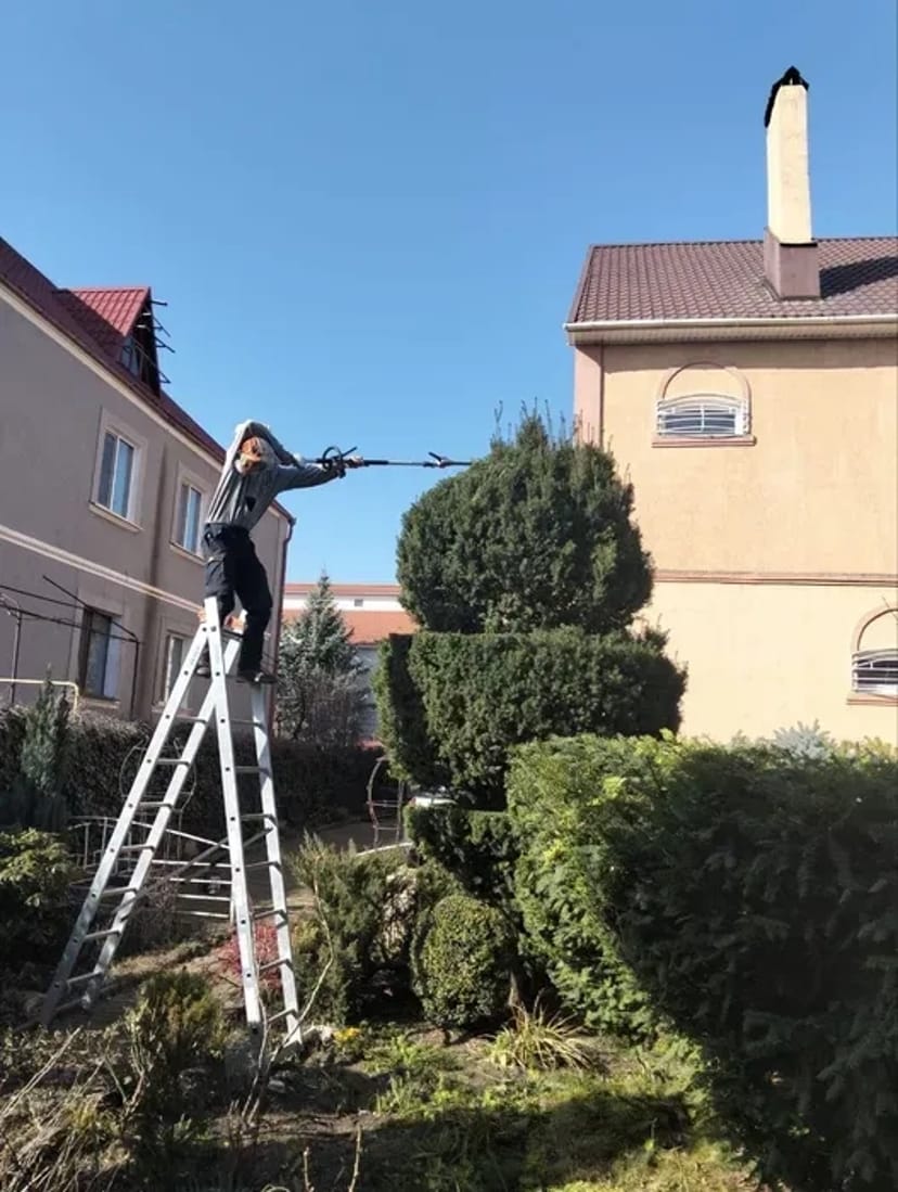 Стрижка дерев, прибирання ділянки.