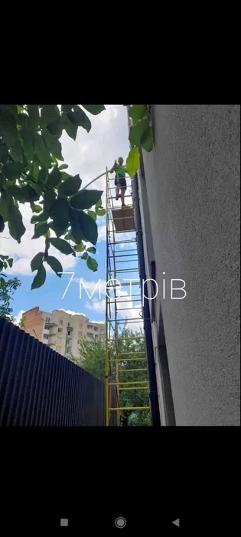 Вишка Тура професійна