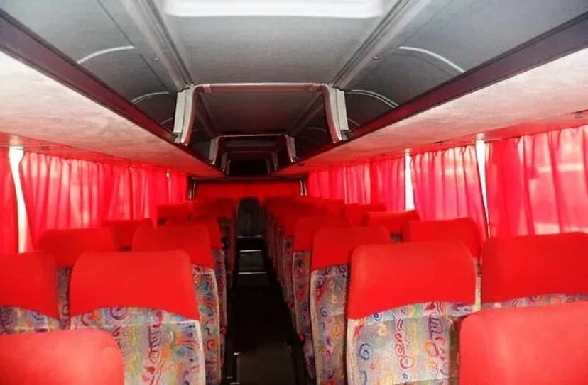 338 Автобус на весілля Neoplan 40 місць