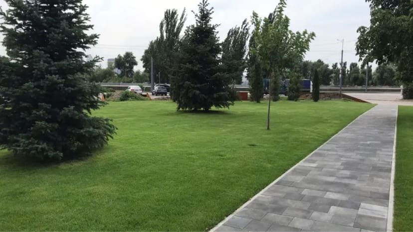 Послуги садівника Уход за рослинами Газон рулонний посівний