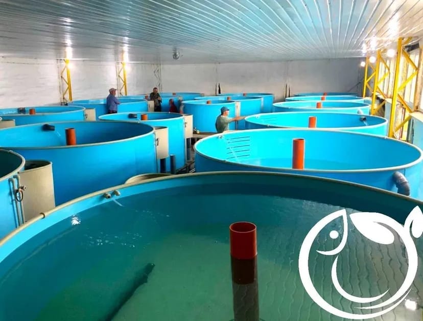 Будівництво і проектування УЗВ та інших типів аквоферм