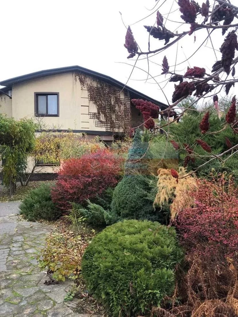 Шикарний будинок, с.Мала Олександрівка