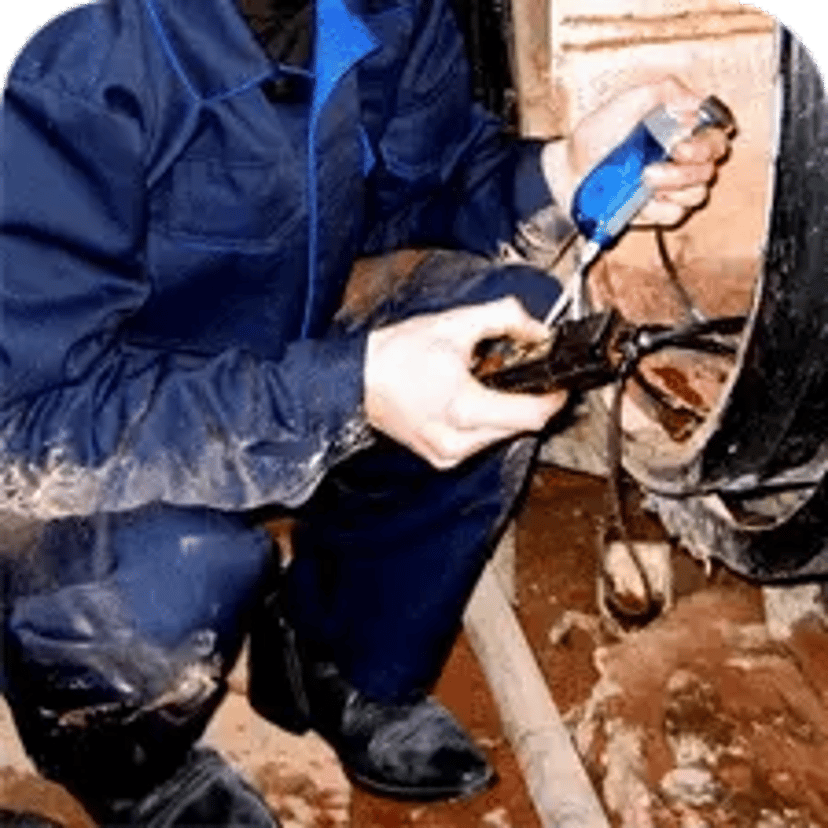 Дефектоскопія, технічне обстеження резервуарів