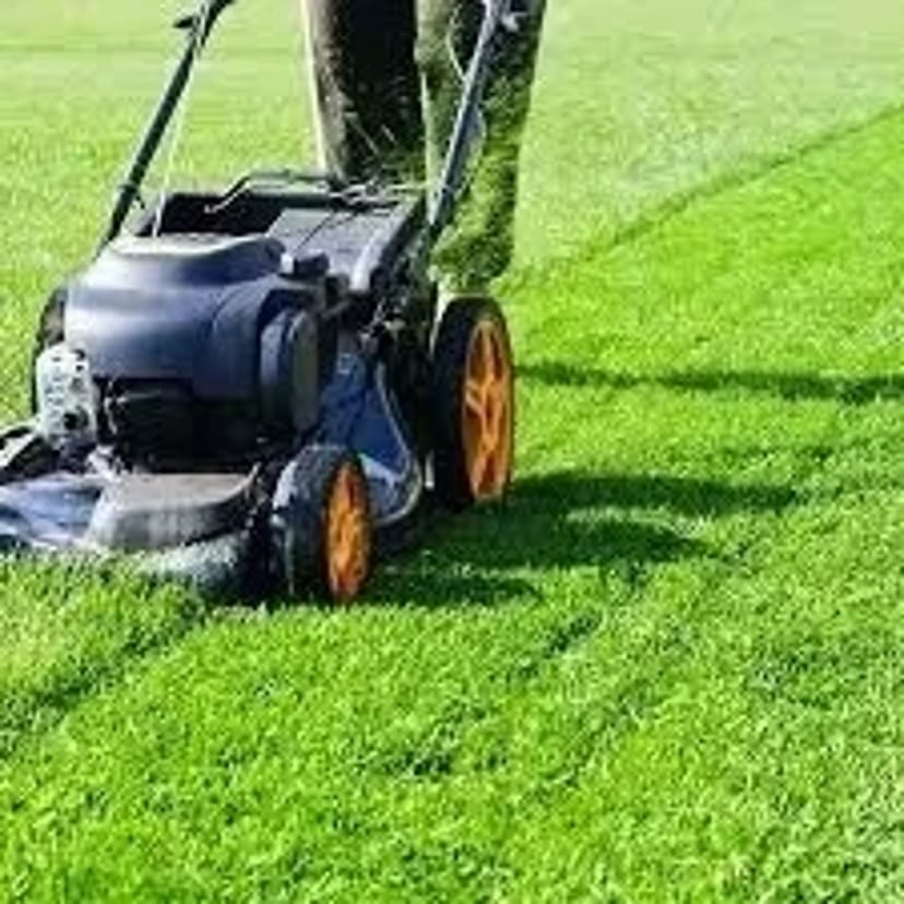 Покос газону Обслуговування садів вирівнювання землі підготовка