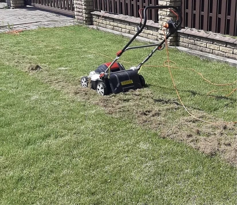 Аерація / скарифікація газонів
