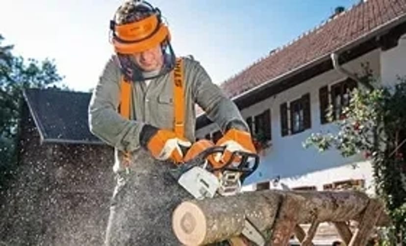 Бензопила, моторіз