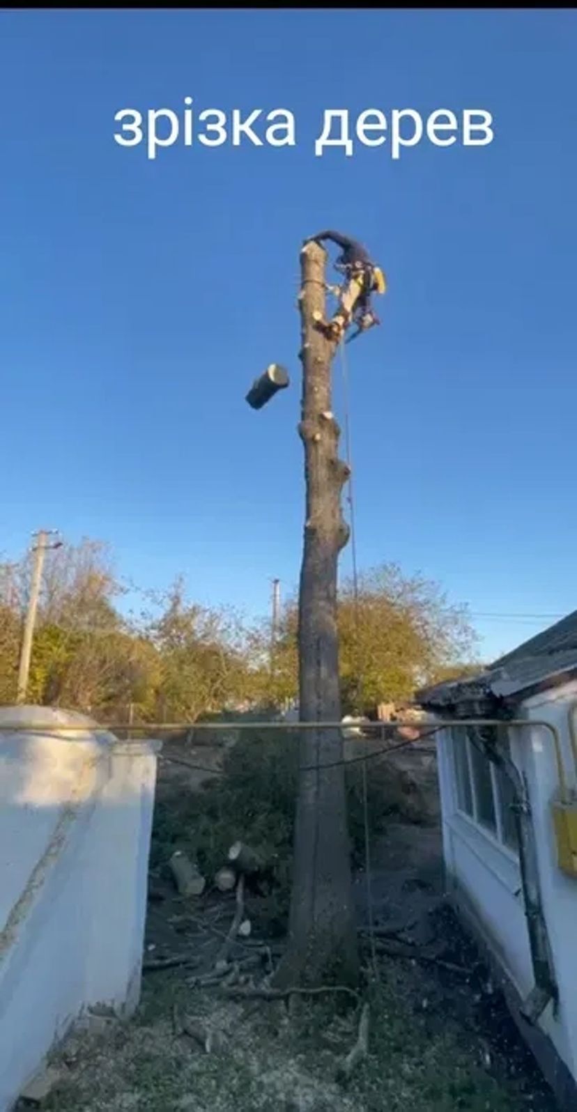 Зрізка дерев, обрізання