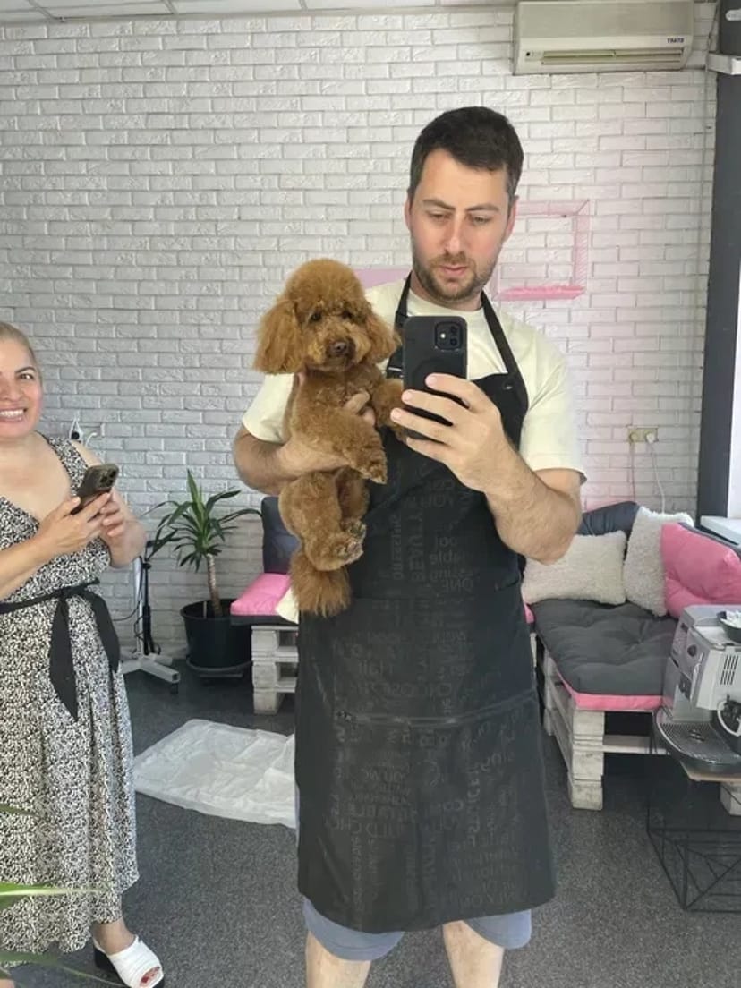 Грумінг | стрижка собак | експрес лінька на Лівобережній