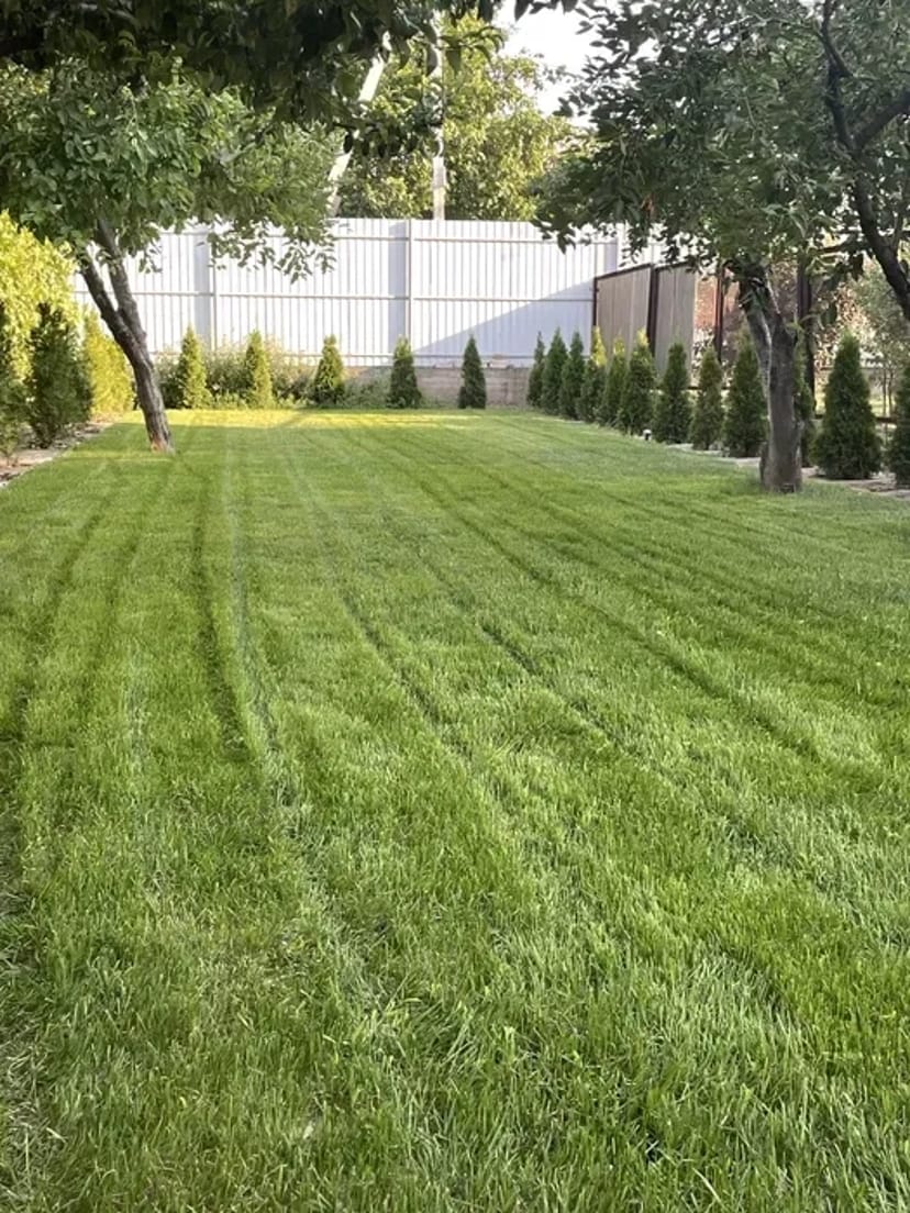 Покіс трави, спил, обріз дерев, культивація мотоблоком, дроблення гілок