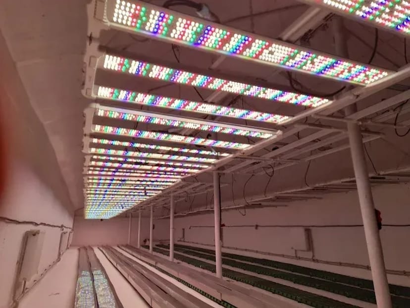 Теплиці та виробничі приміщення , комерційне приміщення