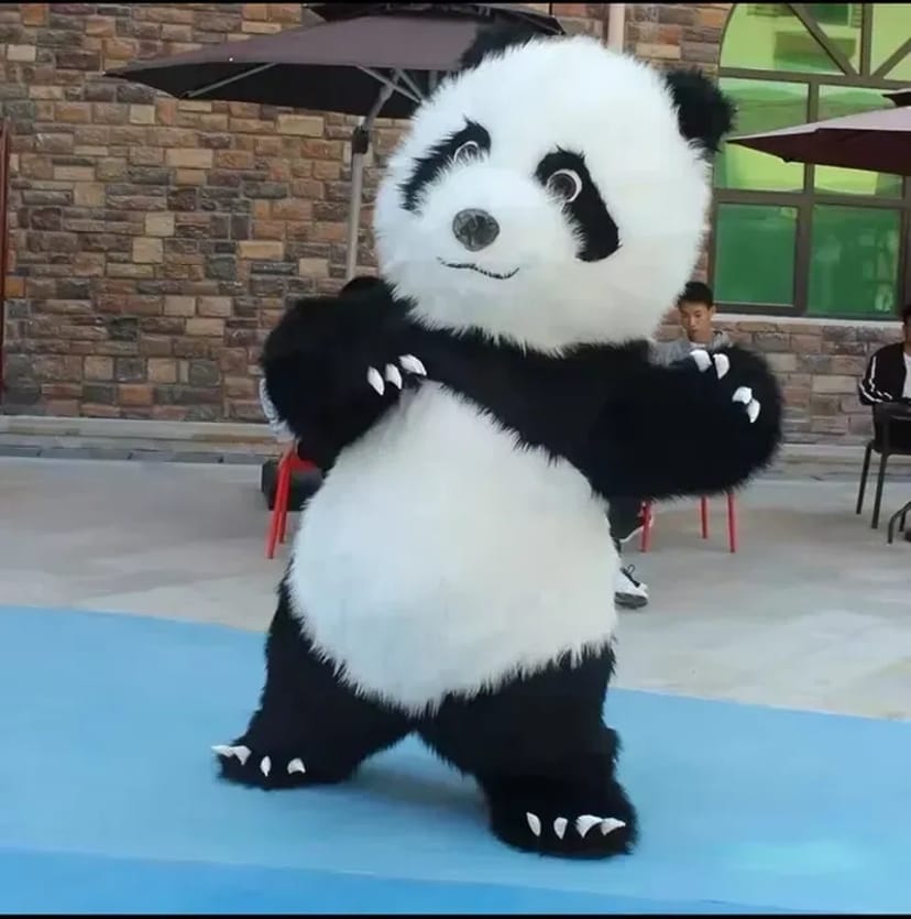 Аніматор Панда/Мікімаус. Привітання на день народження, святкові дні!