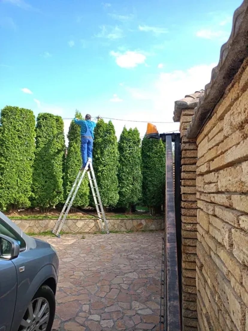 Стрижка чистка туй/ялівців