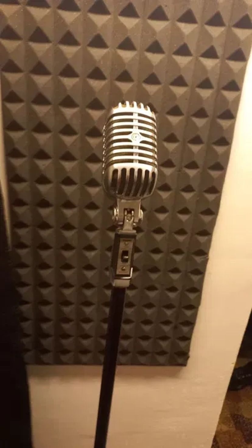 Ретро мікрофон Shure 55SH SERIES 2