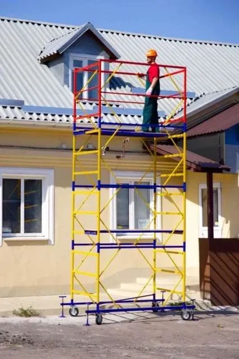 Вишка тура, ліса.