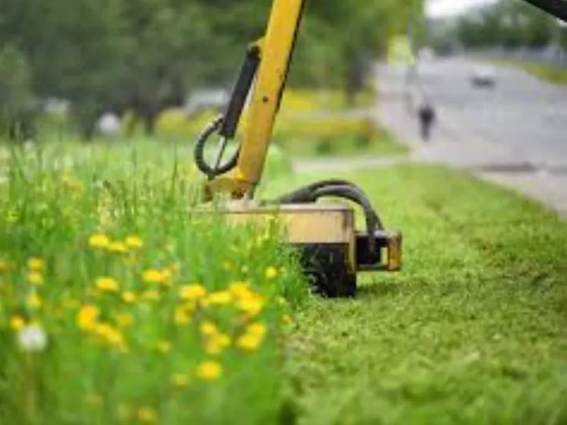 Покос трави, оранка, прибирання ділянки.