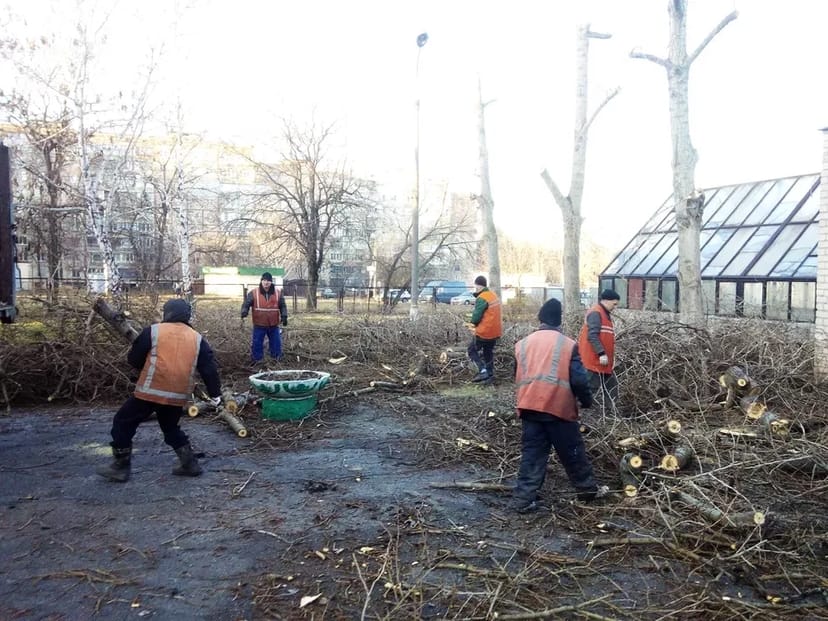 Вивезення смітя, розчистка територій, обрізка дерев