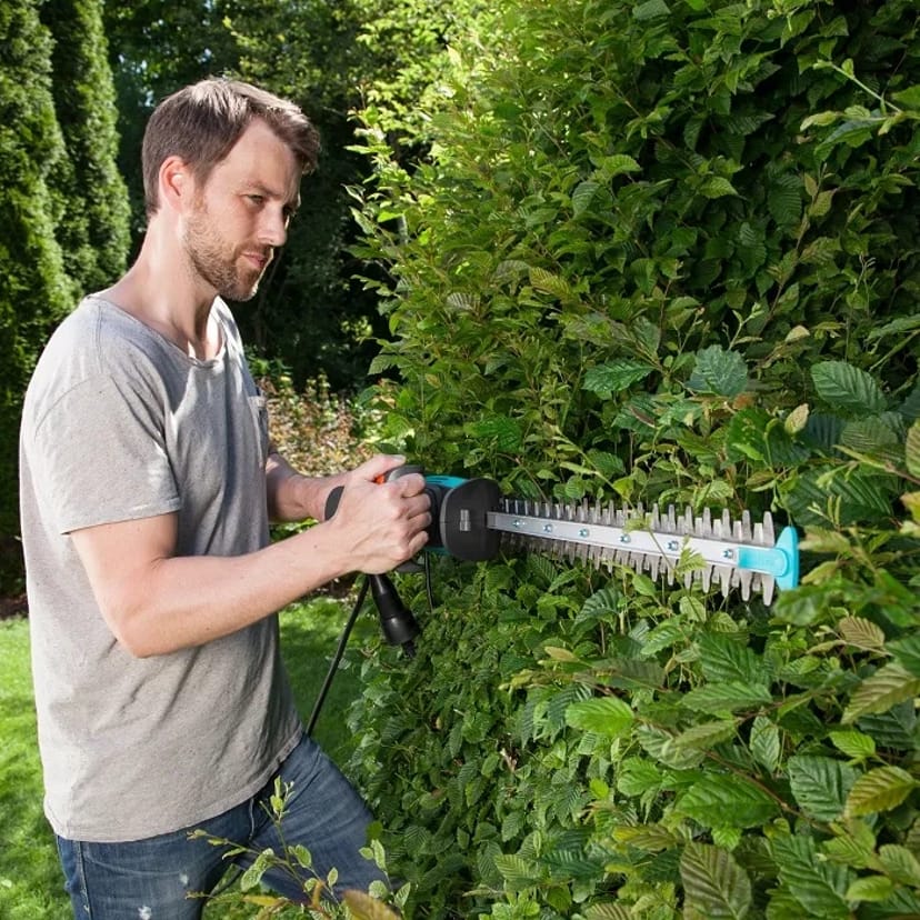 Кущоріз для дачі для обрізки гілок
