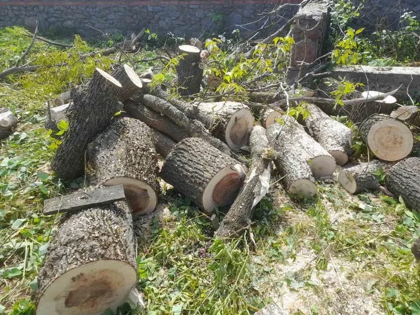 Благоустрій розчистка участка уборка покосити бур'ян зрізати дерево