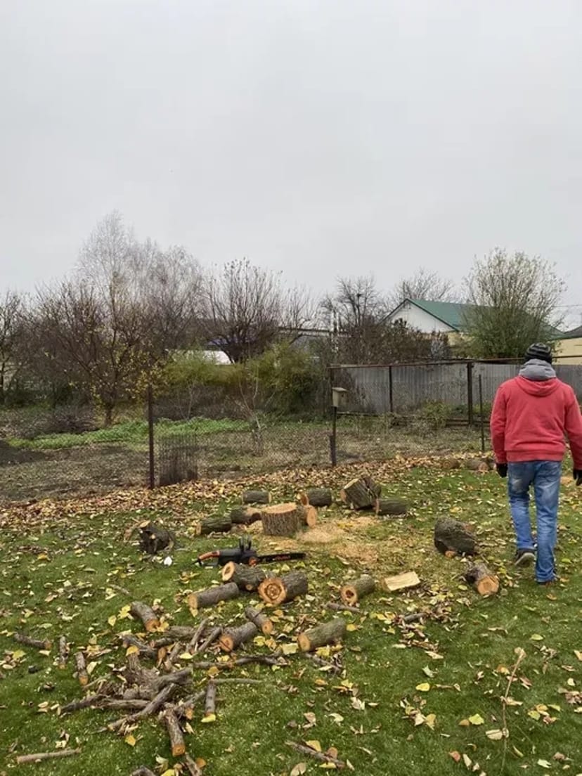 Зрубування дерев,Розпилювання на дрова,Формування крони