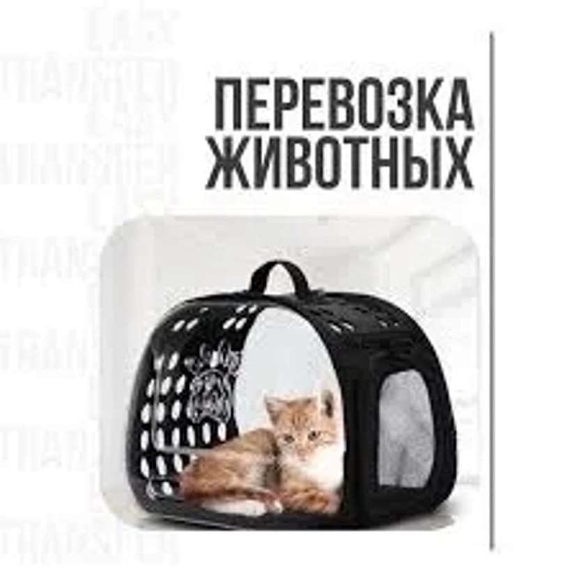 Допомога у перевезенні тварин до Європи та по Україні від 1 500 грн.