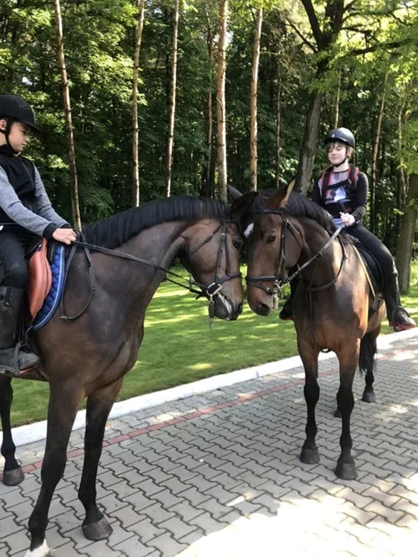 Кінна прогулянка лісом