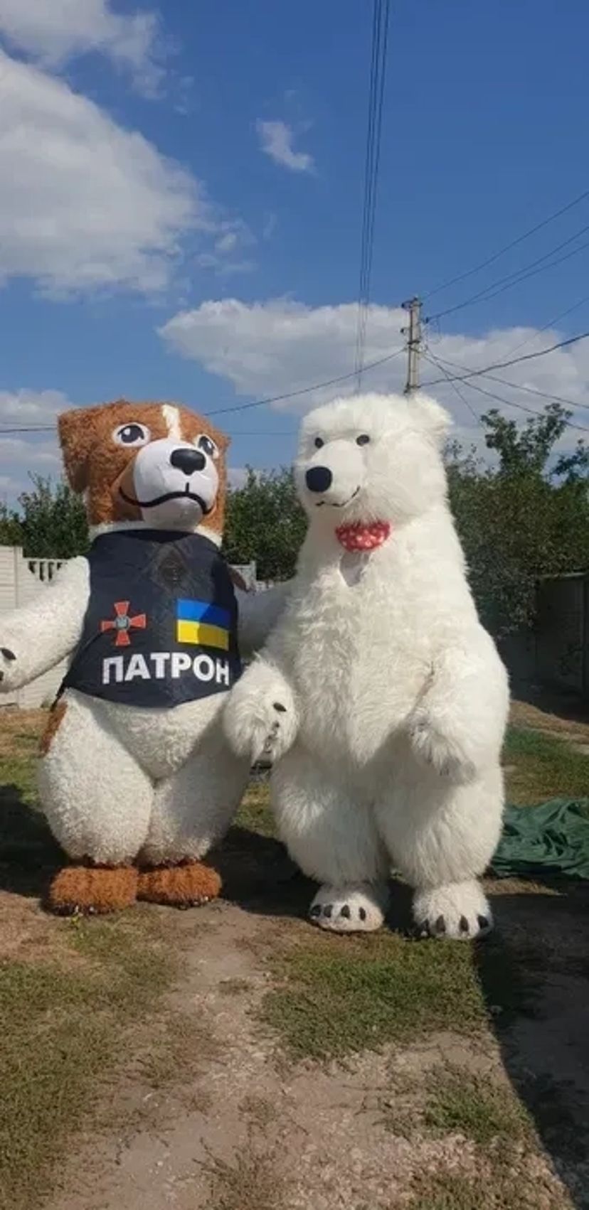 Розваги , пес патрон, ведмедик ,  привітання