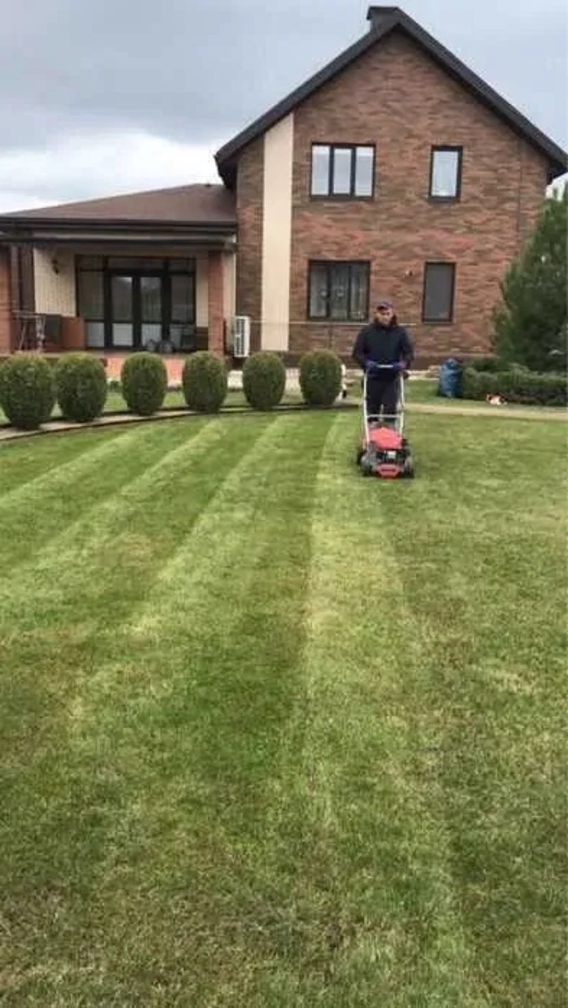 Обрізка дерев Послуги садівника Газон Посадка дерев