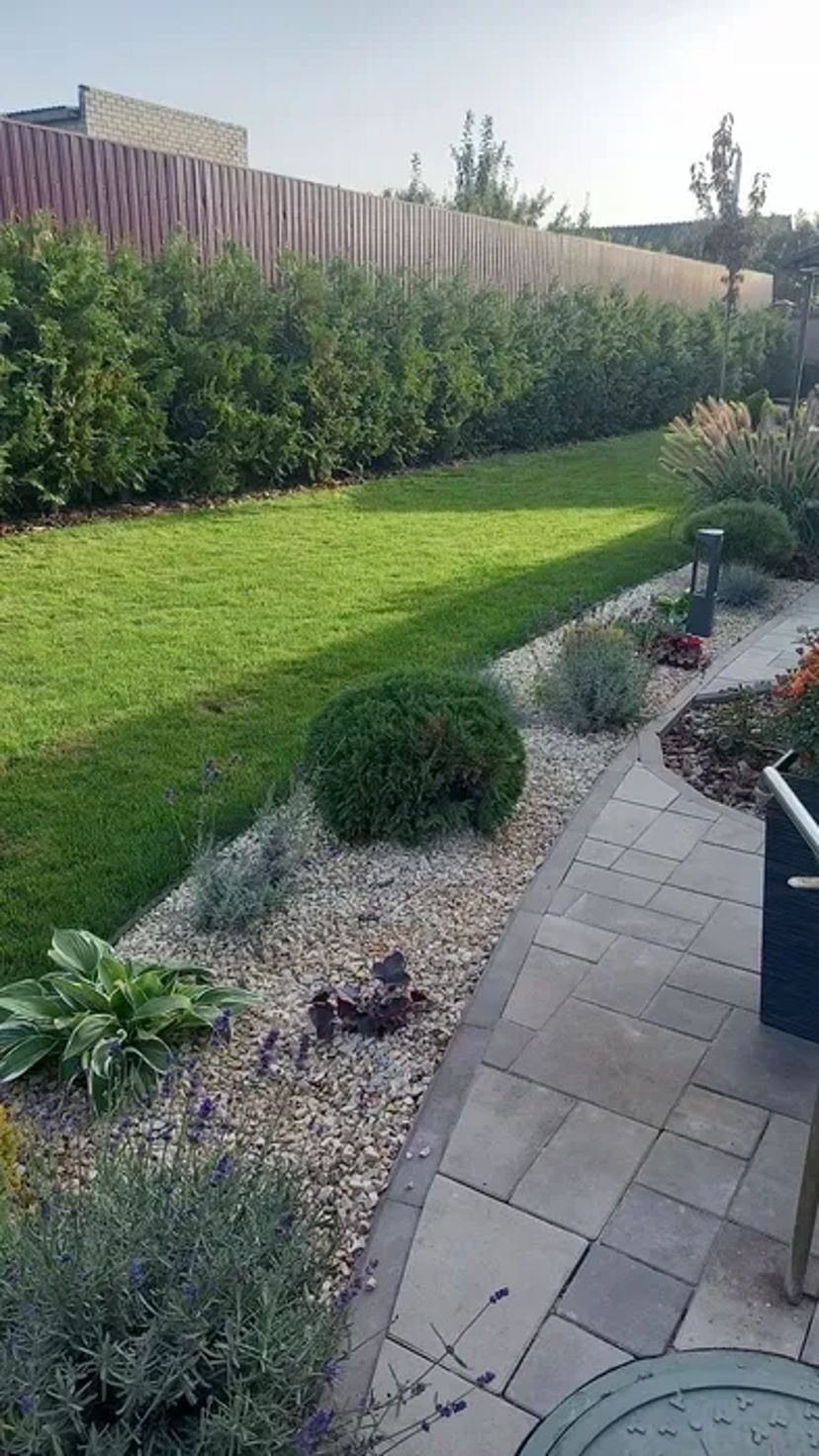 Ескіз ділянки, ландшафтний дизайн, догляд за садом!