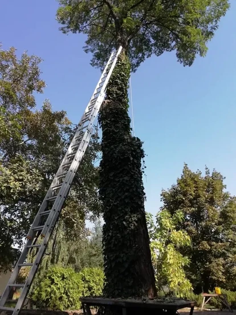 Лестницы 3х14с.10м. 3х12с.8м. Трасформер 5м.